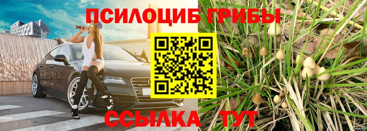 Ярославль  Галлюциногенные грибы MAGIC MUSHROOMS  Вход с VPN 