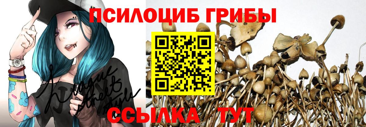 Псилоцибиновые грибы мицелий Ярославль